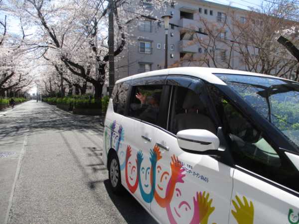 ガーデン・ほんむらの車と桜並木