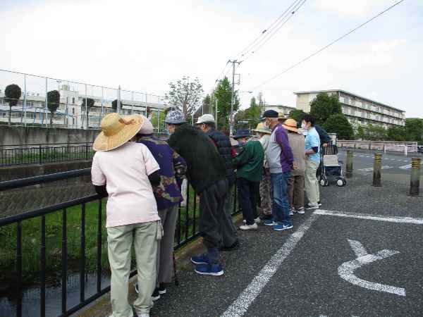 散歩中、黒目川を眺めるお客様