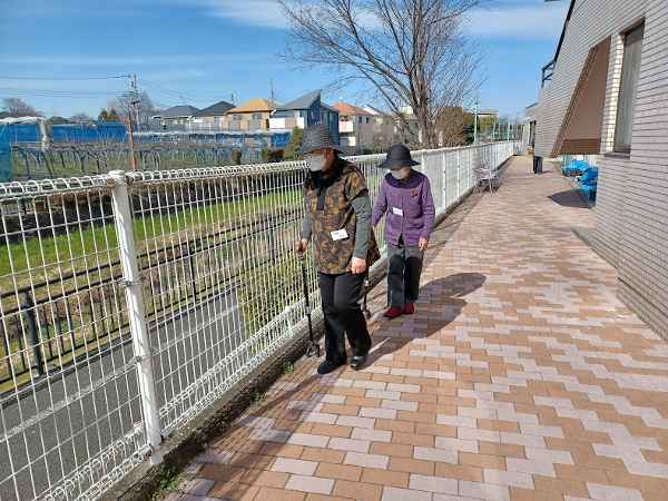 散歩をするお客様