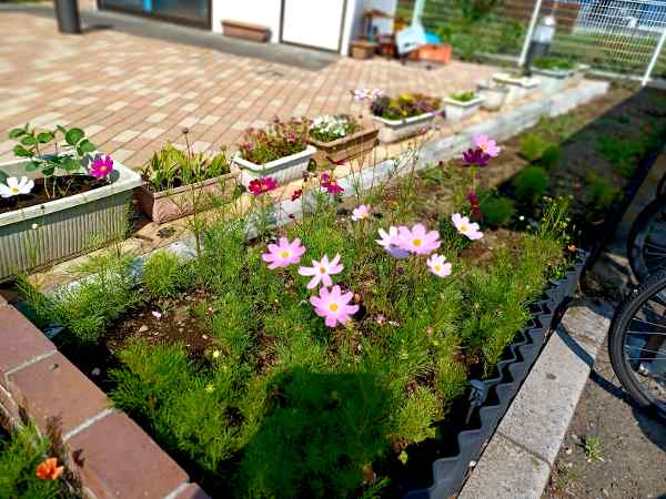 季節の生け花