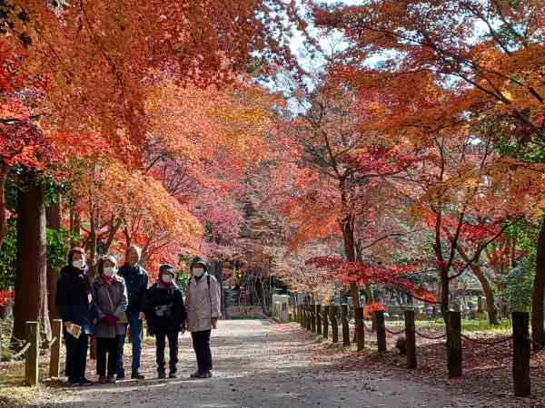 紅葉をバックに記念撮影