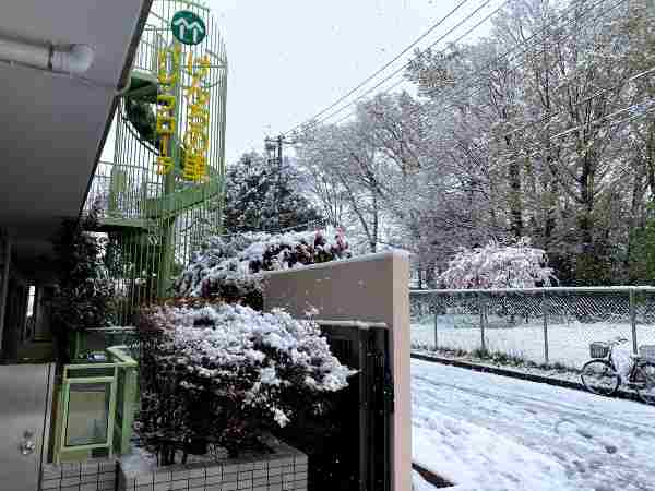 春の大雪