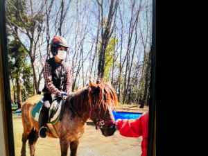 乗馬を楽しむ様子