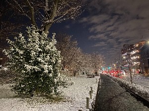 東久留米の雪景色