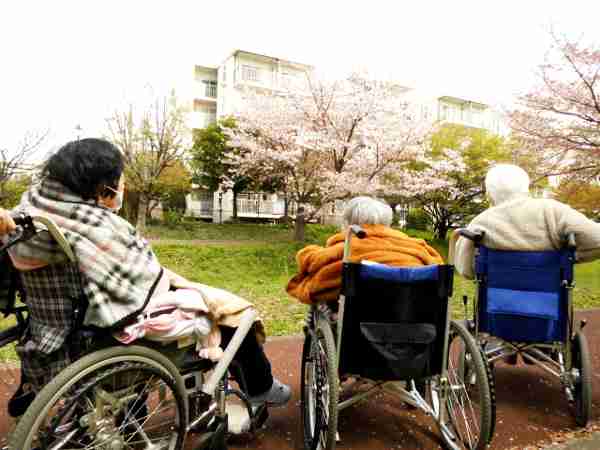 お花見散歩～意外な発見～