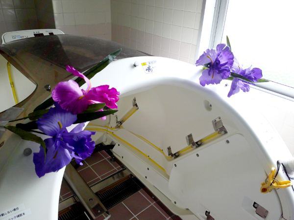 機械浴槽に菖蒲の花を飾り付け