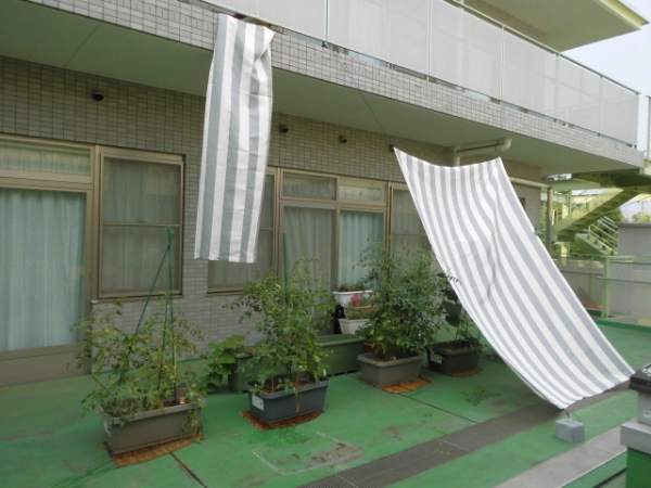中庭の園芸に日除けを設置した様子。