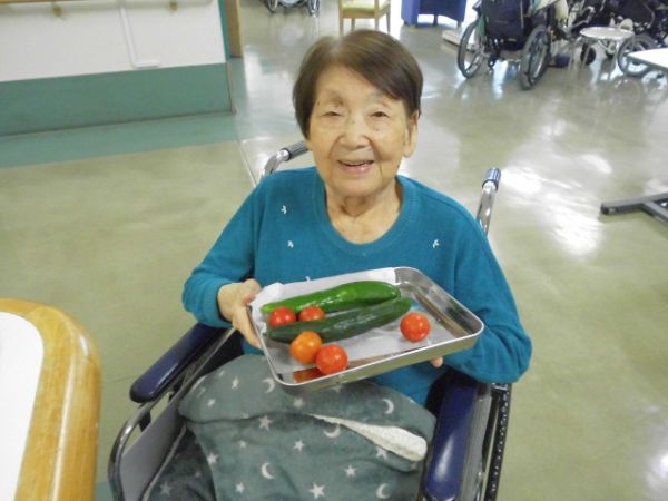 フロアレクとは