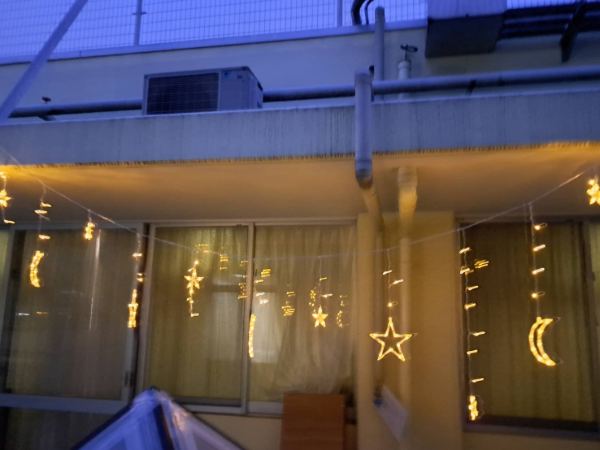 園芸～介護施設でできるイルミネーション～