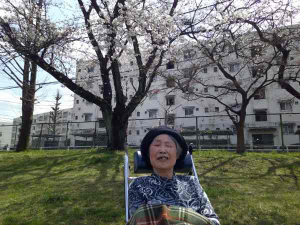 お花見