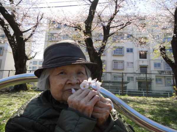 お花見散歩