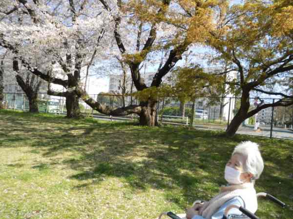 河川敷を散歩するお客様