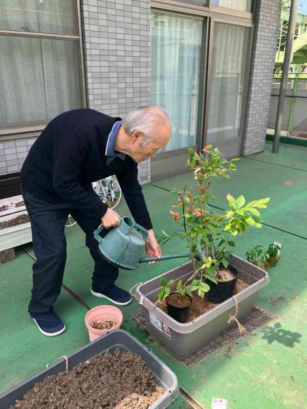 園芸