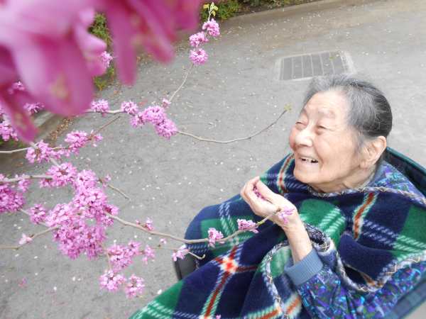 お花見ドライブへ～ゴォ～＼(^o^)／