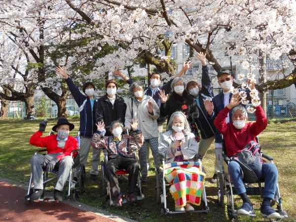 やっぱり桜！