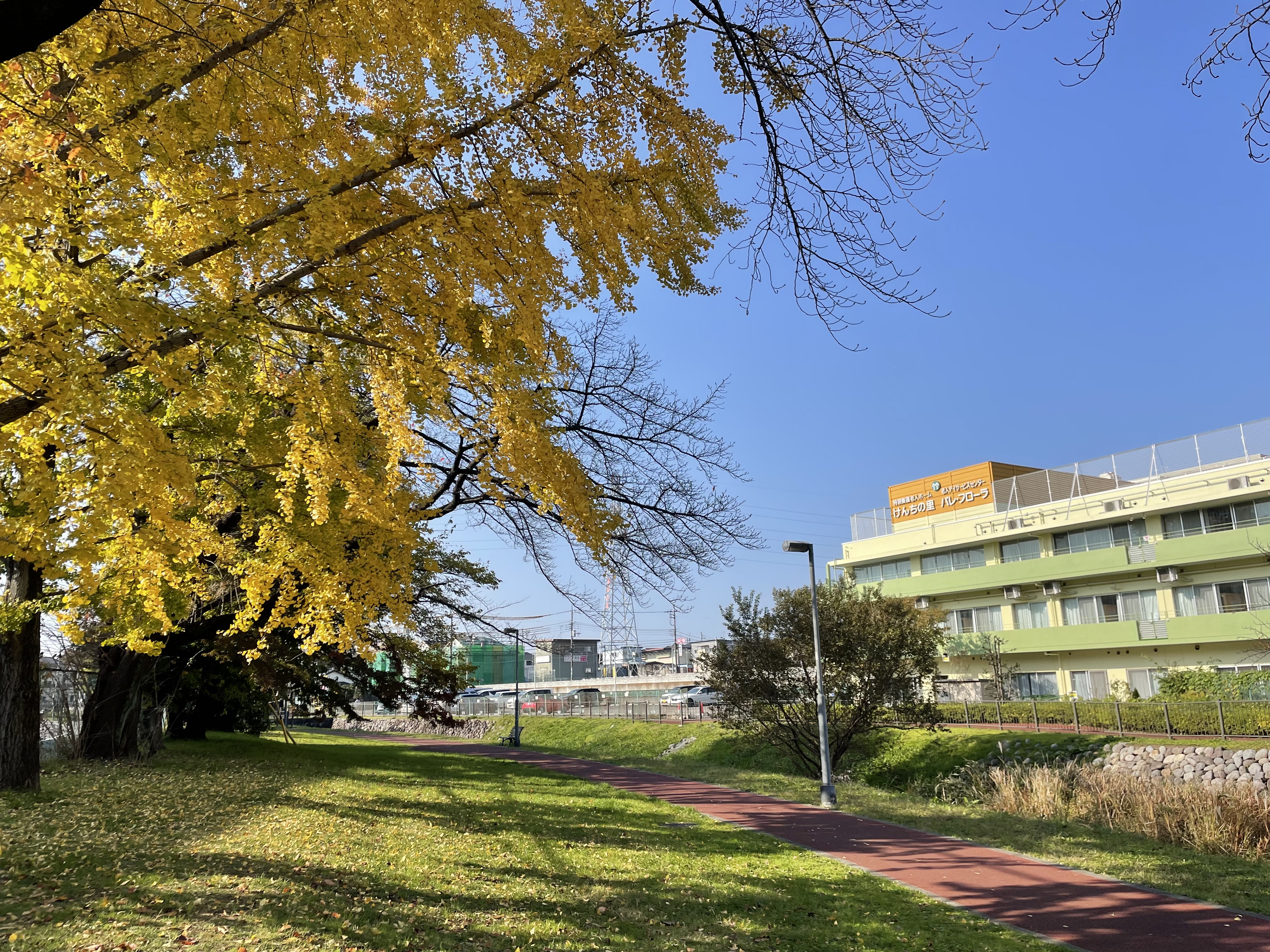 在宅介護の姿・風景【お客様の紹介・第2弾】