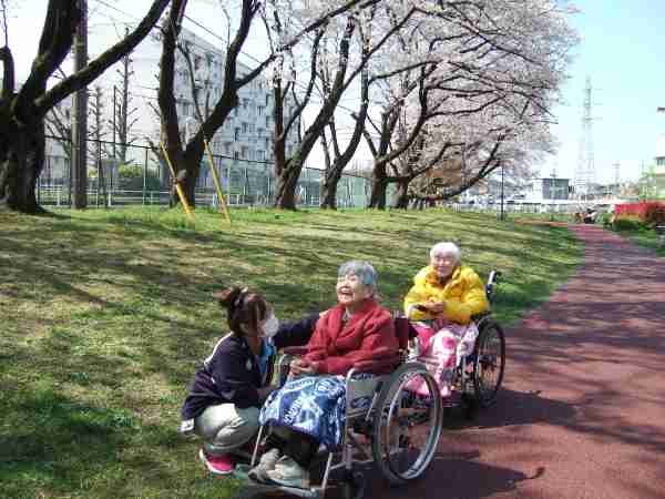 利用者さまと桜を鑑賞