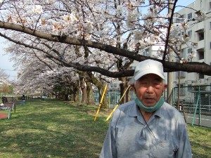 お花見散歩での笑顔